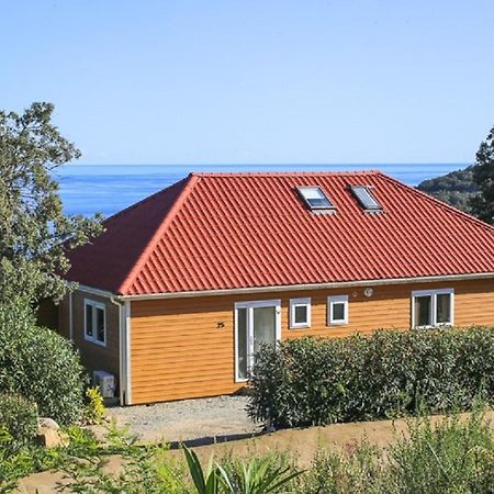 Villa Vista Mare Favone Conca Ngoại thất bức ảnh